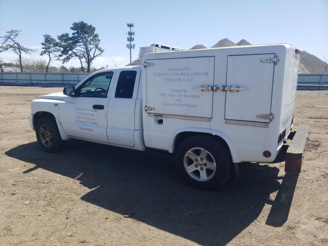 1D7RW3BP5BS686082 - 2011 DODGE DAKOTA SLT WHITE photo 2