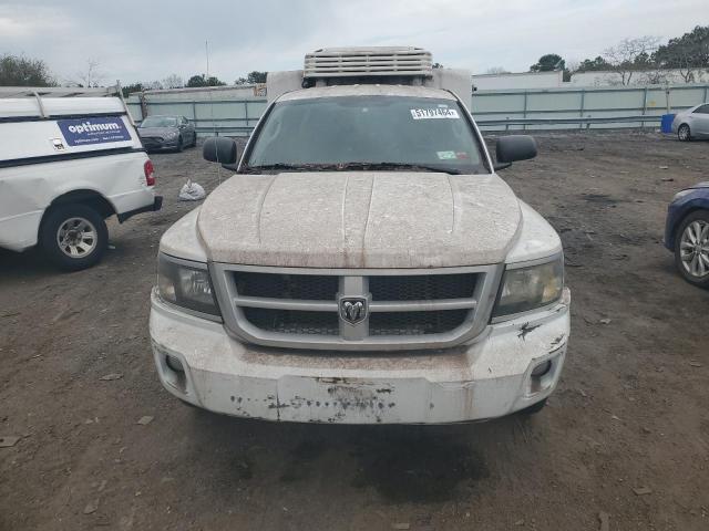 1D7RW3BP9BS686084 - 2011 DODGE DAKOTA SLT WHITE photo 5