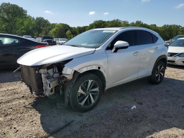 JTJGARBZXM5021889 - 2021 LEXUS NX 300 BASE WHITE photo 1