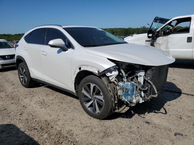 JTJGARBZXM5021889 - 2021 LEXUS NX 300 BASE თეთრი ფოტო 4