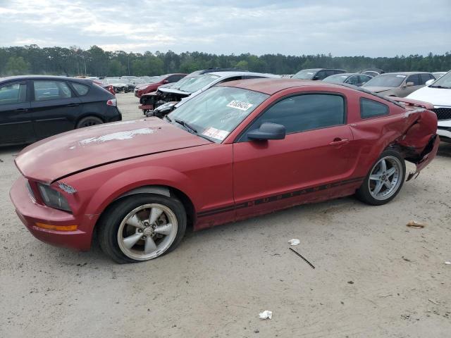 2005 FORD MUSTANG, 