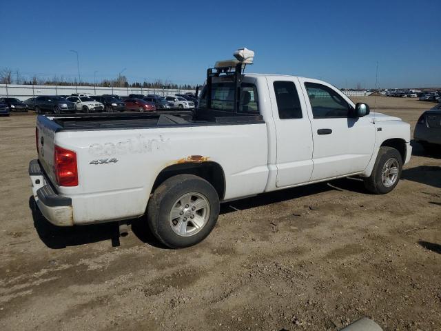 1D7CW3BP5AS184273 - 2010 DODGE DAKOTA SXT 白色 照片 3