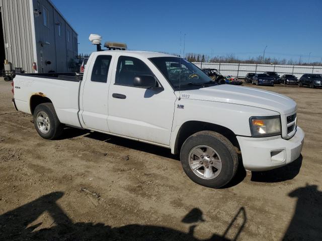 1D7CW3BP5AS184273 - 2010 DODGE DAKOTA SXT 白色 照片 4