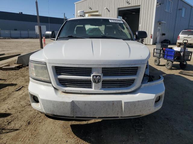 1D7CW3BP5AS184273 - 2010 DODGE DAKOTA SXT 白色 照片 5