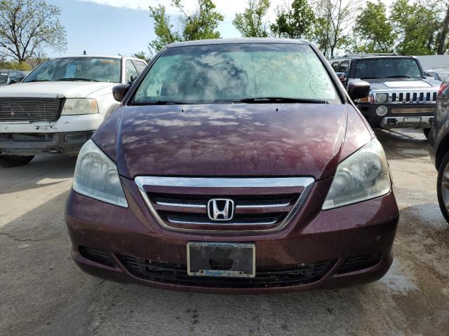 5FNRL38647B454689 - 2007 HONDA ODYSSEY EXL BURGUNDY photo 5