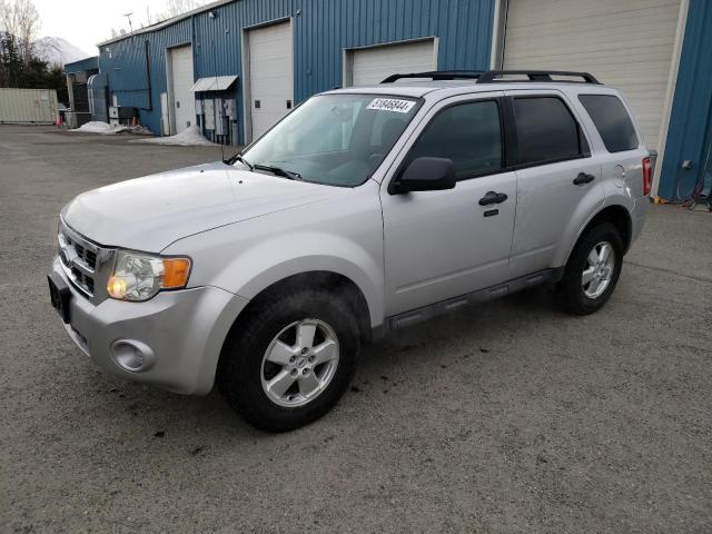 2009 FORD ESCAPE XLT, 