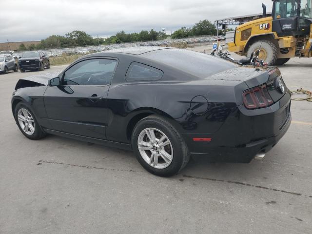 1ZVBP8AM0D5243687 - 2013 FORD MUSTANG BLACK photo 2