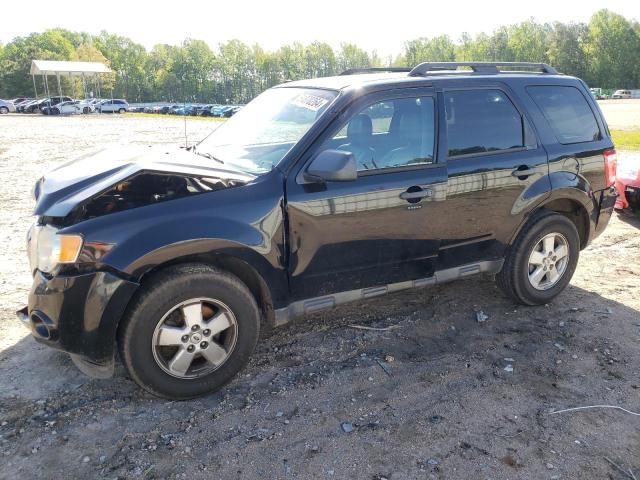 2010 FORD ESCAPE XLT, 