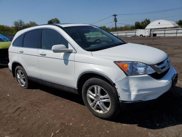 JHLRE4H76BC029976 - 2011 HONDA CR-V EXL WHITE photo 4