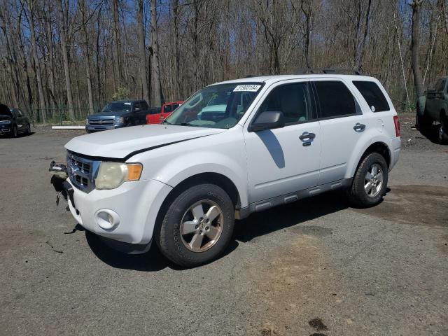 2011 FORD ESCAPE XLT, 