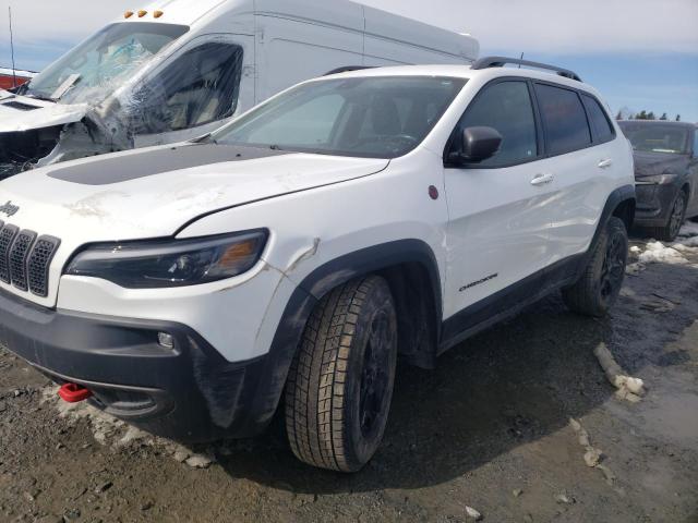1C4PJMBX4MD138927 - 2021 JEEP CHEROKEE TRAILHAWK WHITE photo 1