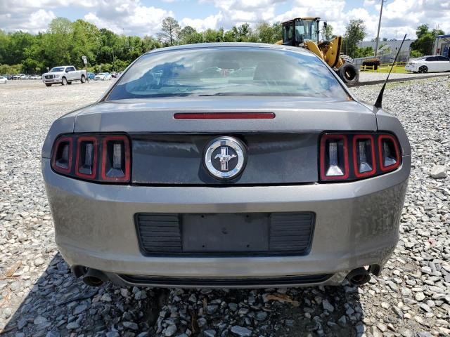 1ZVBP8AM2D5269885 - 2013 FORD MUSTANG GRAY photo 6