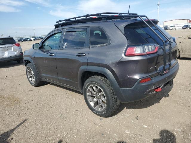 1C4PJMBX2LD633173 - 2020 JEEP CHEROKEE TRAILHAWK GRAY photo 2