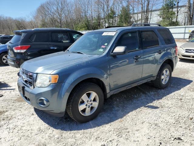 2010 FORD ESCAPE XLT, 