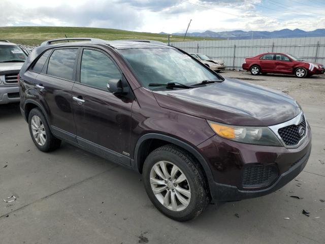 5XYKTDA27BG079655 - 2011 KIA SORENTO BASE BURGUNDY photo 4