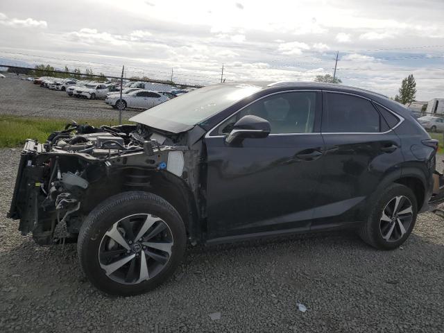 JTJGARDZ5M2260345 - 2021 LEXUS NX 300 BASE შავი ფოტო 1