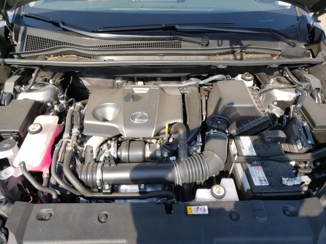 JTJDARDZ3M2262243 - 2021 LEXUS NX 300 BASE თაფლისფერი ფოტო 12