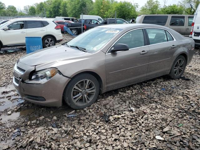 2010 CHEVROLET MALIBU LS, 