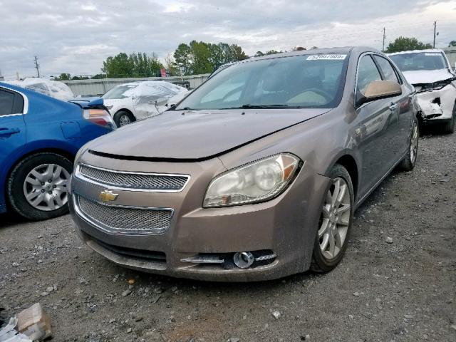 1G1ZK57738F178231 - 2008 CHEVROLET MALIBU LTZ  ფოტო 2