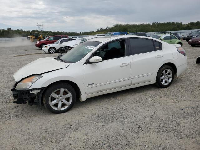 1N4CL21E28C260622 - 2008 NISSAN ALTIMA HYBRID WHITE photo 1