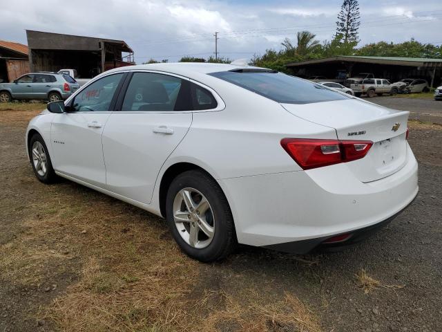 1G1ZD5ST6RF146194 - 2024 CHEVROLET MALIBU LT WHITE photo 2