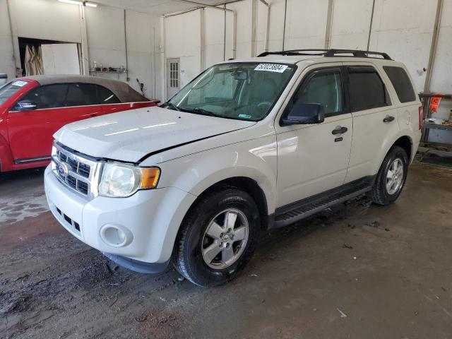 2009 FORD ESCAPE XLT, 