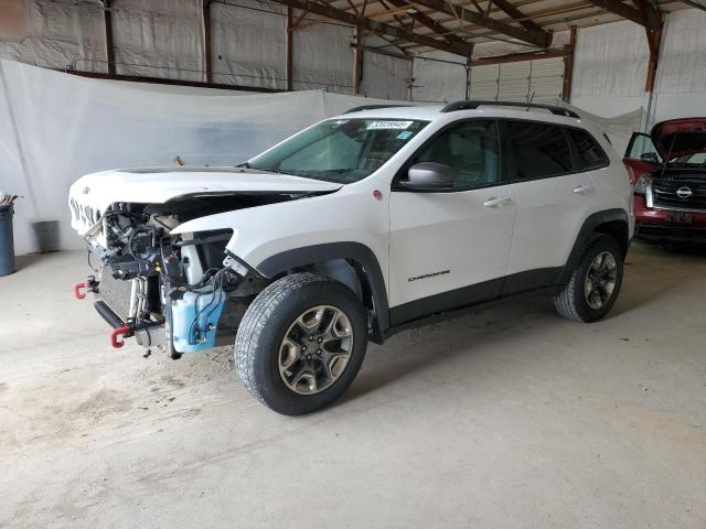 1C4PJMBX5KD250701 - 2019 JEEP CHEROKEE TRAILHAWK WHITE photo 1