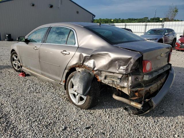 1G1ZC5EB5AF266336 - 2010 CHEVROLET MALIBU 1LT TAN photo 2