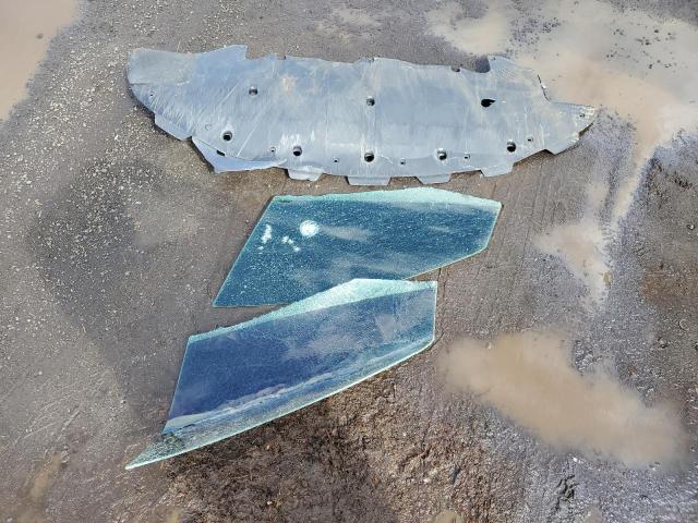 5YJSA1E52NF493608 - 2022 TESLA MODEL S 蓝色 照片 12