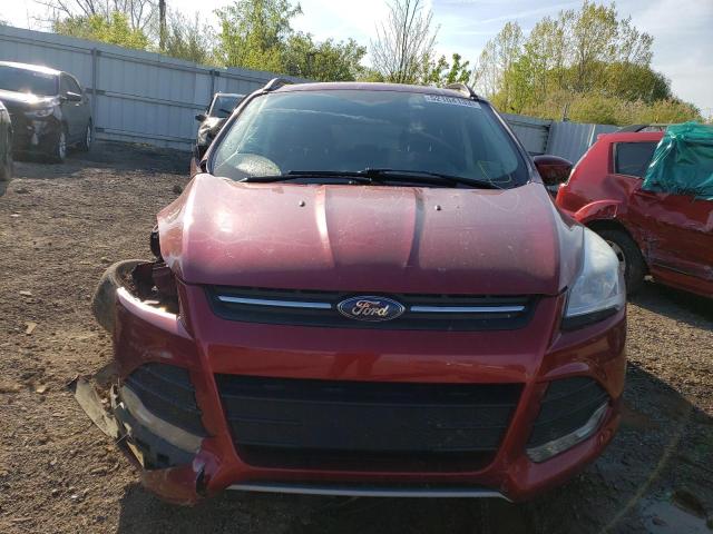 1FMCU0GX2EUA60815 - 2014 FORD ESCAPE 4D SE RED photo 5