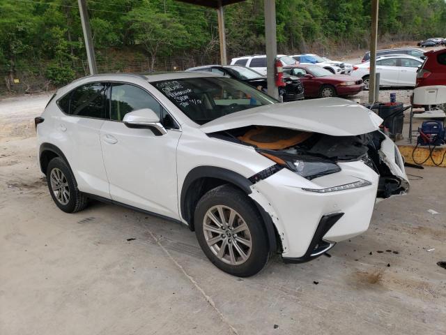 JTJDARBZ9M5031445 - 2021 LEXUS NX 300 BASE 白色 照片 4