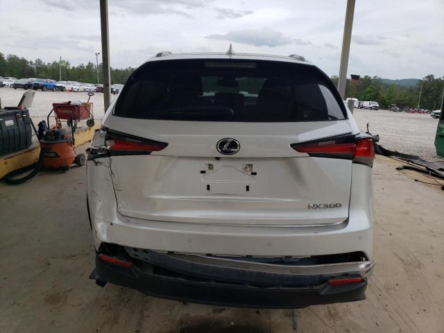 JTJDARBZ9M5031445 - 2021 LEXUS NX 300 BASE 白色 照片 6