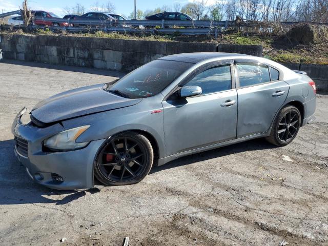 1N4AA5AP8AC807849 - 2010 NISSAN MAXIMA S GRAY photo 1