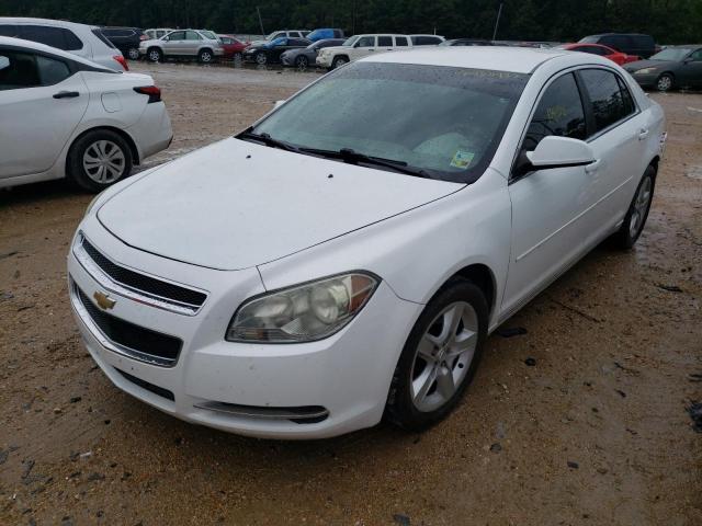 1G1ZH57N994217592 - 2009 CHEVROLET MALIBU 1LT 白色 照片 2