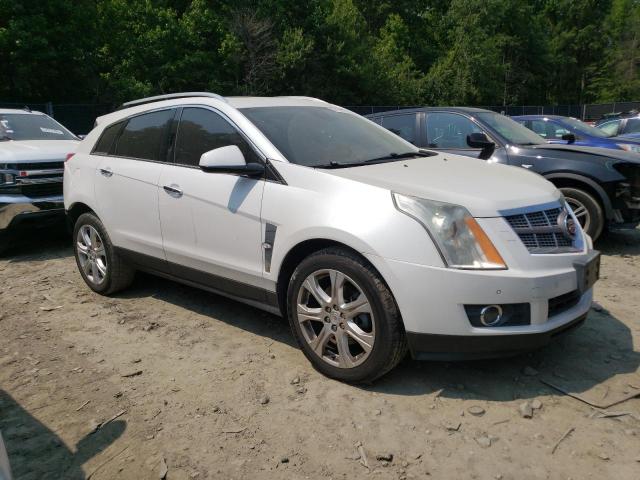 3GYFNEEY7AS610716 - 2010 CADILLAC SRX PERFORMANCE COLLECTION Biały zdjęcie 4