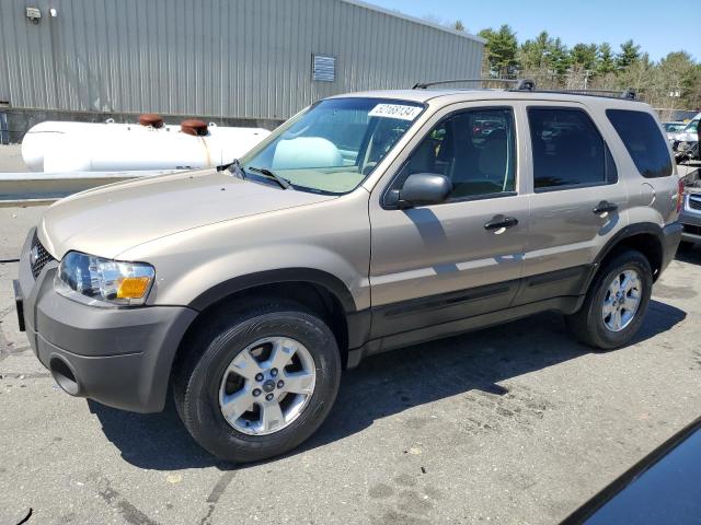 2007 FORD ESCAPE XLT, 