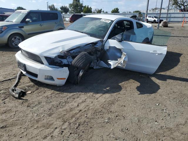 1ZVBP8AM5B5165582 - 2011 FORD MUSTANG WHITE photo 1