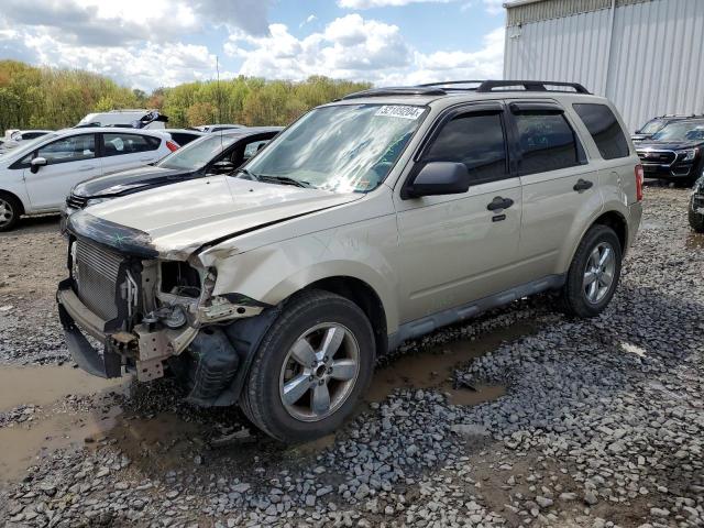 2011 FORD ESCAPE XLT, 