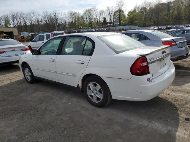 1G1ZT54894F238842 - 2004 CHEVROLET MALIBU LS WHITE photo 2