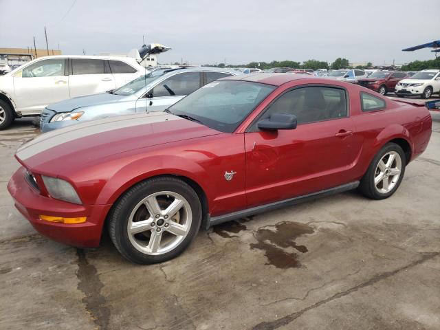 1ZVHT80NX95110569 - 2009 FORD MUSTANG RED photo 1