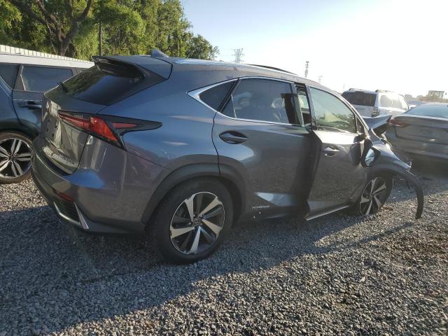 JTJGJRDZ1L2129833 - 2020 LEXUS NX 300H GRAY photo 3