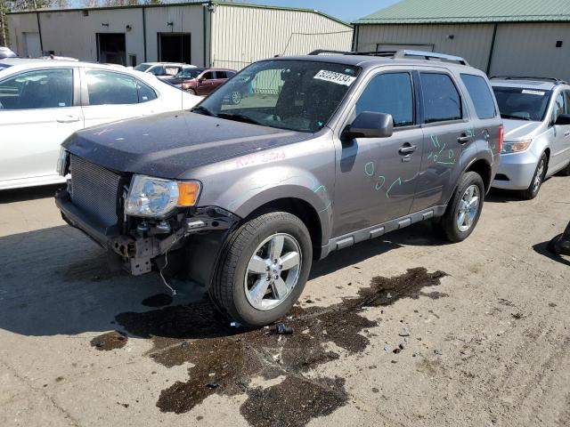 1FMCU9EGXAKC46129 - 2010 FORD ESCAPE LIMITED GRAY photo 1
