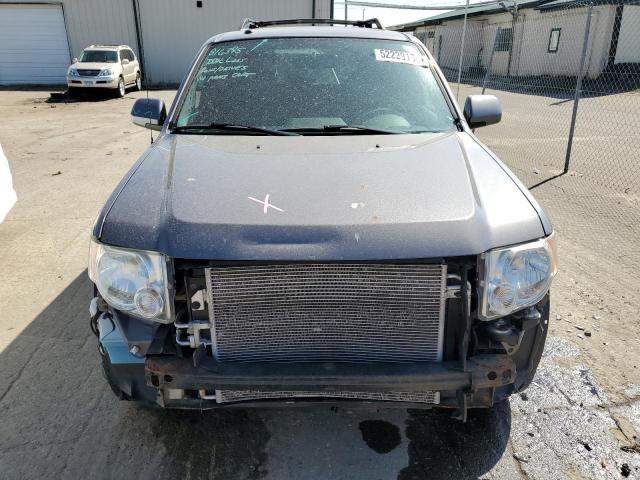 1FMCU9EGXAKC46129 - 2010 FORD ESCAPE LIMITED GRAY photo 5