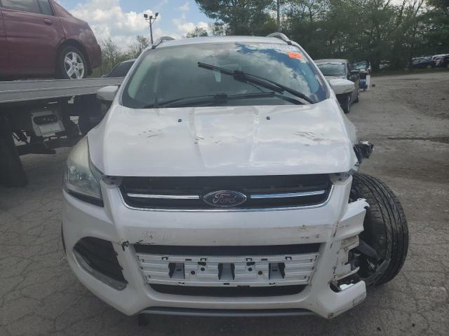 1FMCU0J92EUA37075 - 2014 FORD ESCAPE TITANIUM WHITE photo 5