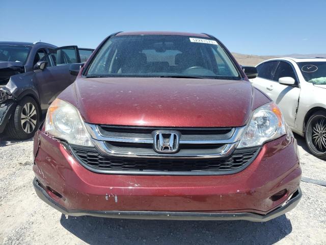 5J6RE4H40BL068088 - 2011 HONDA CR-V SE BURGUNDY photo 5