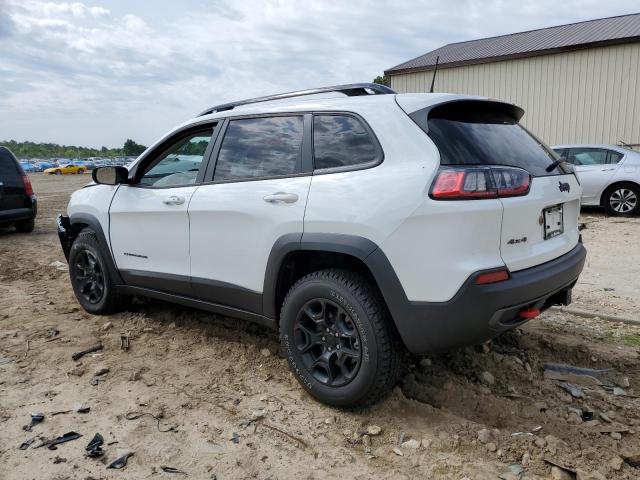 1C4PJMBX3ND553464 - 2022 JEEP CHEROKEE TRAILHAWK 白色 照片 2