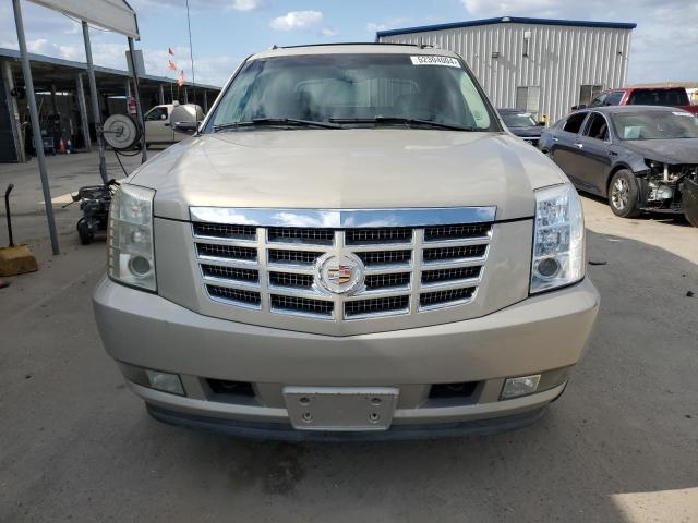 3GYFK62887G301996 - 2007 CADILLAC ESCALADE EXT BEIGE photo 5