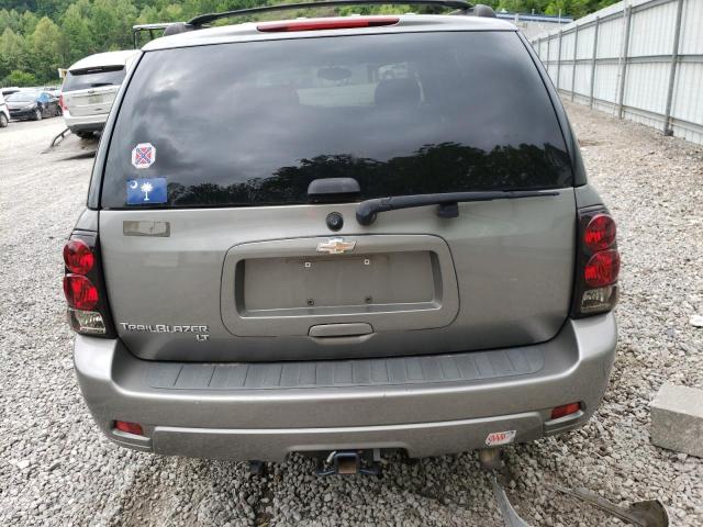 1GNDT33S392101260 - 2009 CHEVROLET TRAILBLAZE LT GRAY photo 6