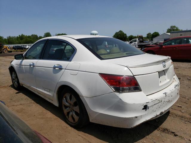 1HGCP26828A165766 - 2008 HONDA ACCORD EXL WHITE photo 2