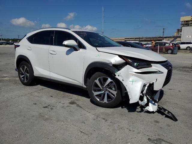 JTJBARBZ0K2206347 - 2019 LEXUS NX 300 BASE 白色 照片 4